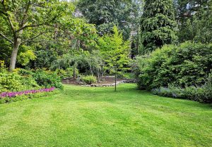 Optimiser l'expérience du jardin à Breuil-Bois-Robert